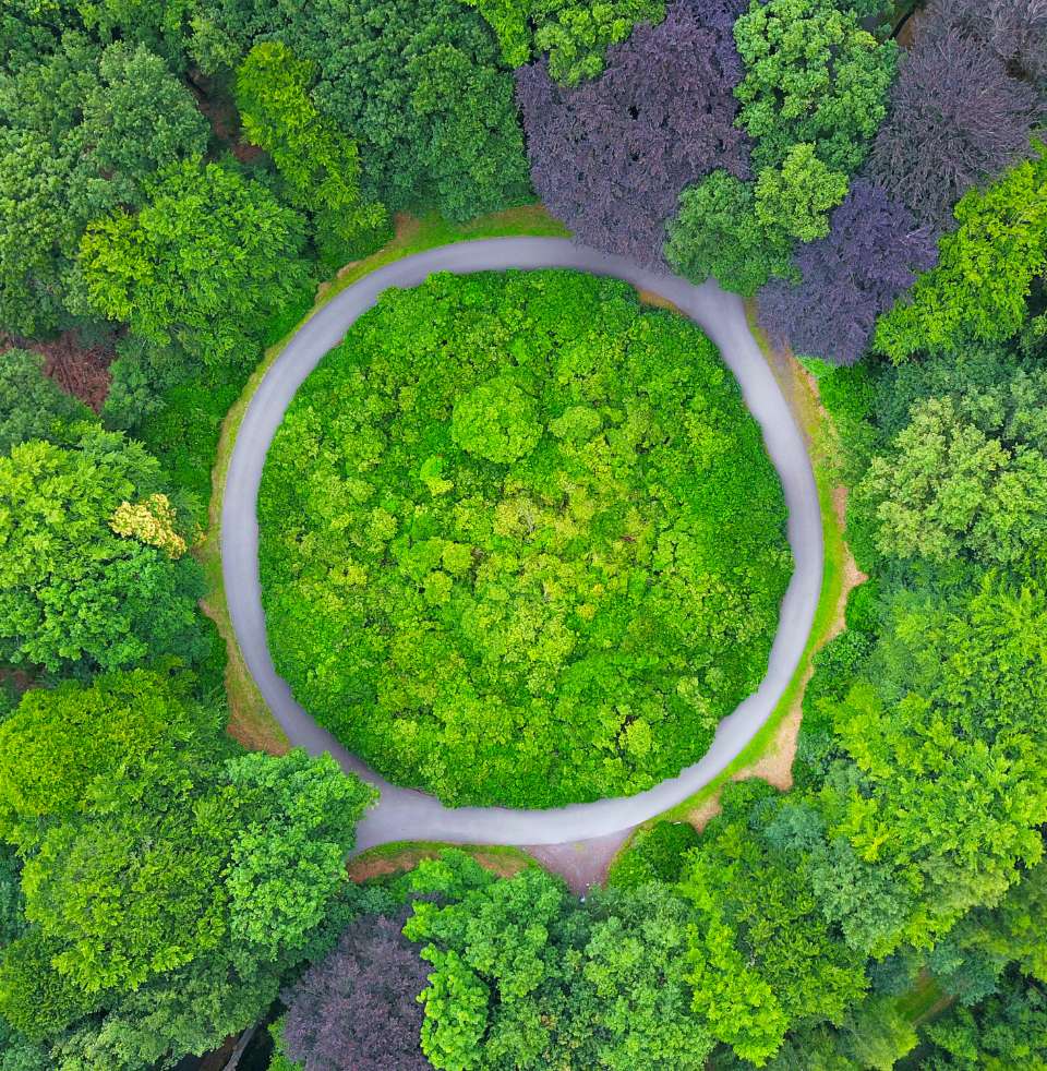 Qualité, Sécurité et Environnement